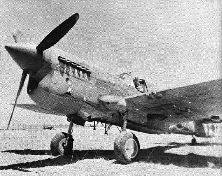 image Curtiss-P-40L-Warhawk-325FG317FS-Gordon-Austin-Tunisia-1943-01