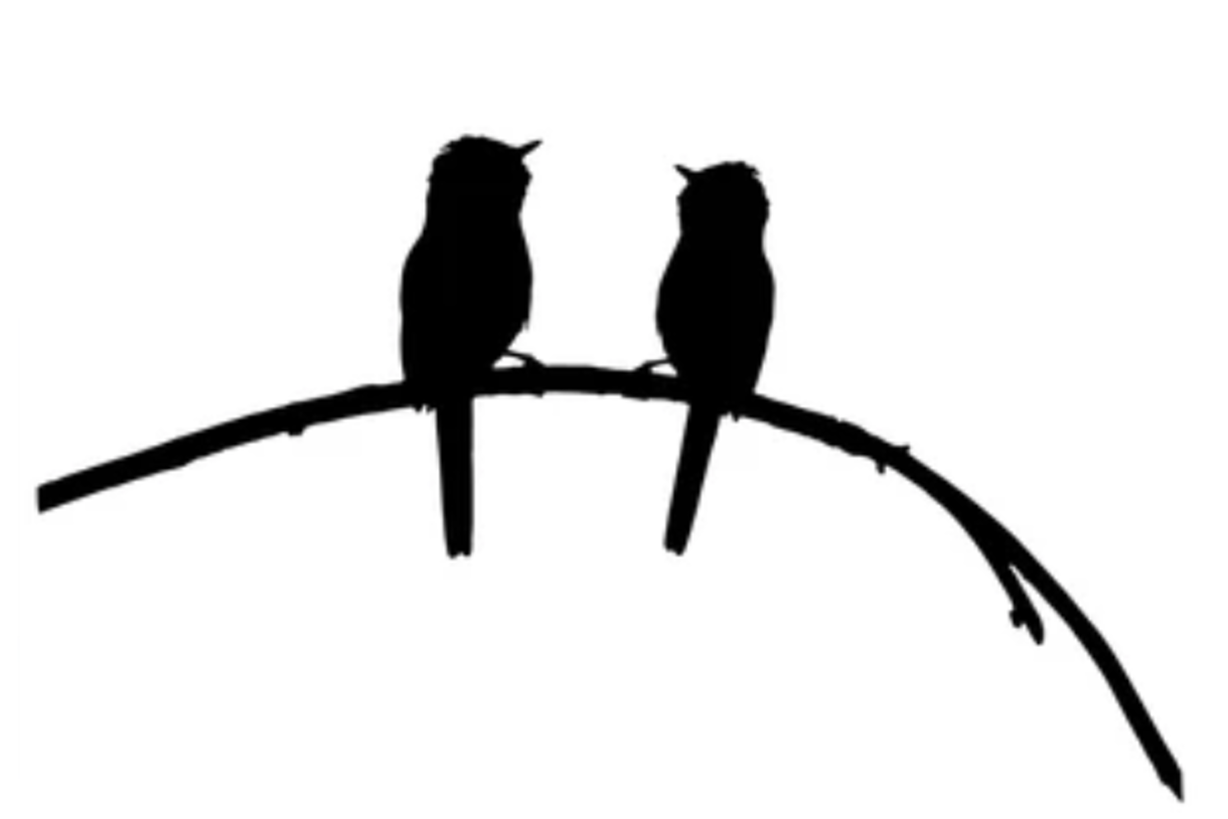 two-birds (placeholder für ivan u nadine)