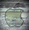 apple-on-wood.jpg