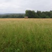 IMG_0193.JPG